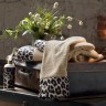 Набор махровых полотенец со стразами Leopard Tivolyo Home